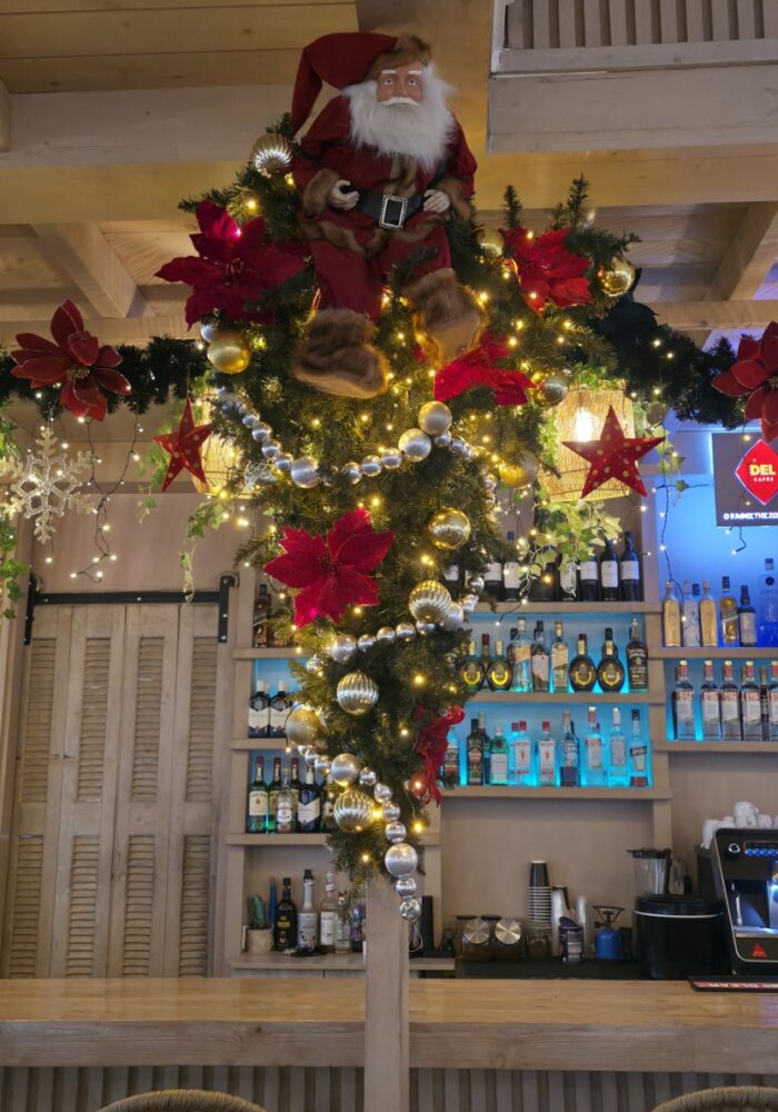 Koule-Christmas-1 (13)